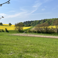 22-05-02 12-07-34 0717